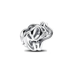 Pandora – Charms