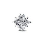 Pandora – Charms