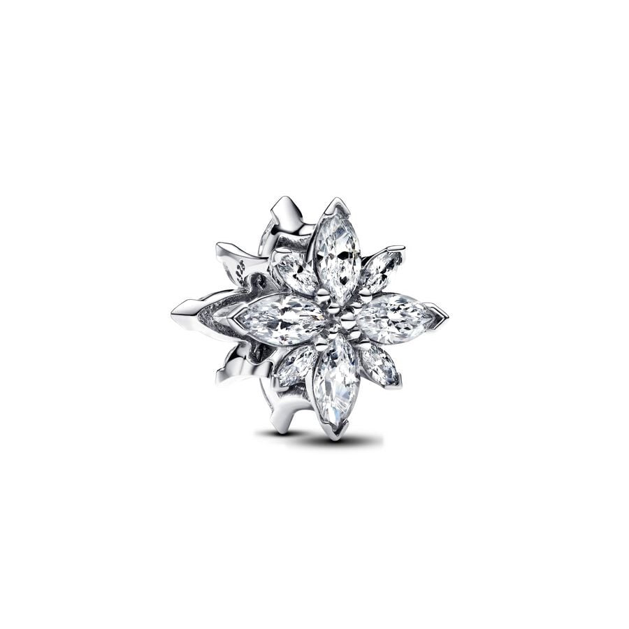 Pandora – Charms