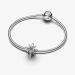 Pandora – Charms – vue 2