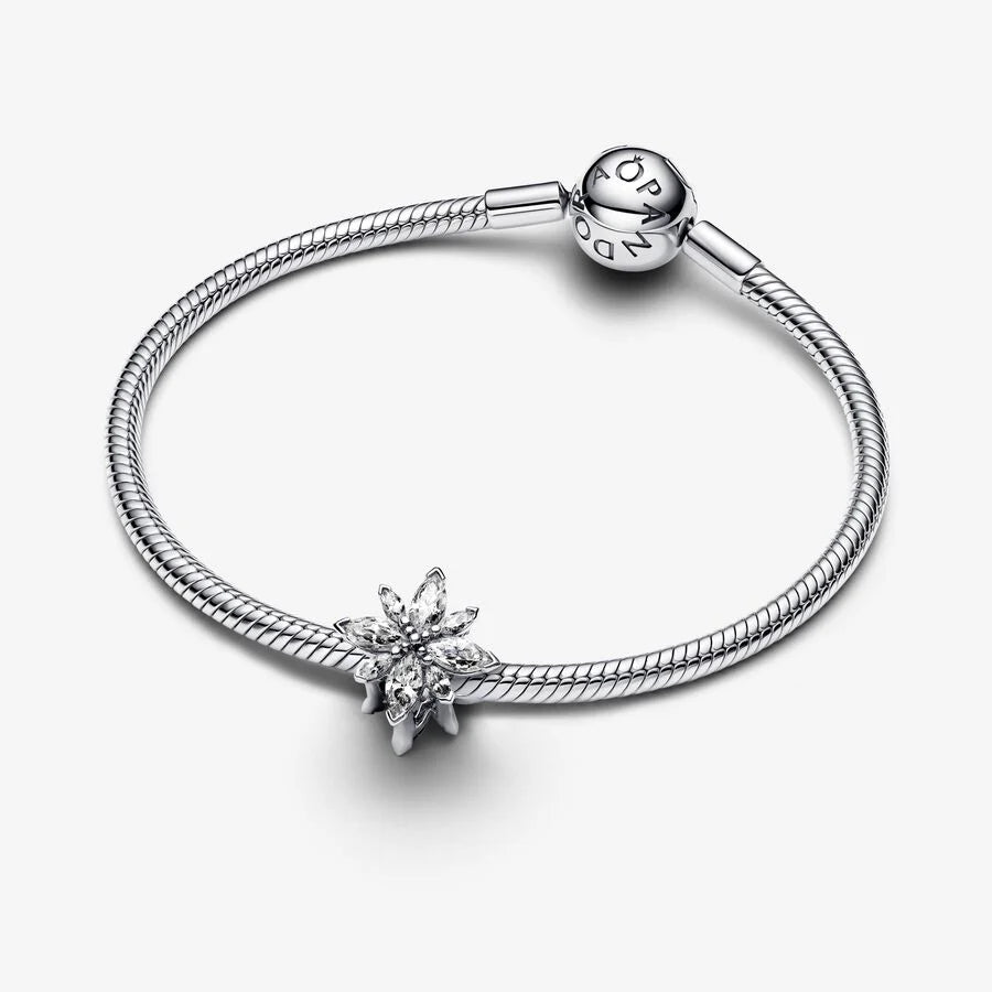 Pandora – Charms – vue 2