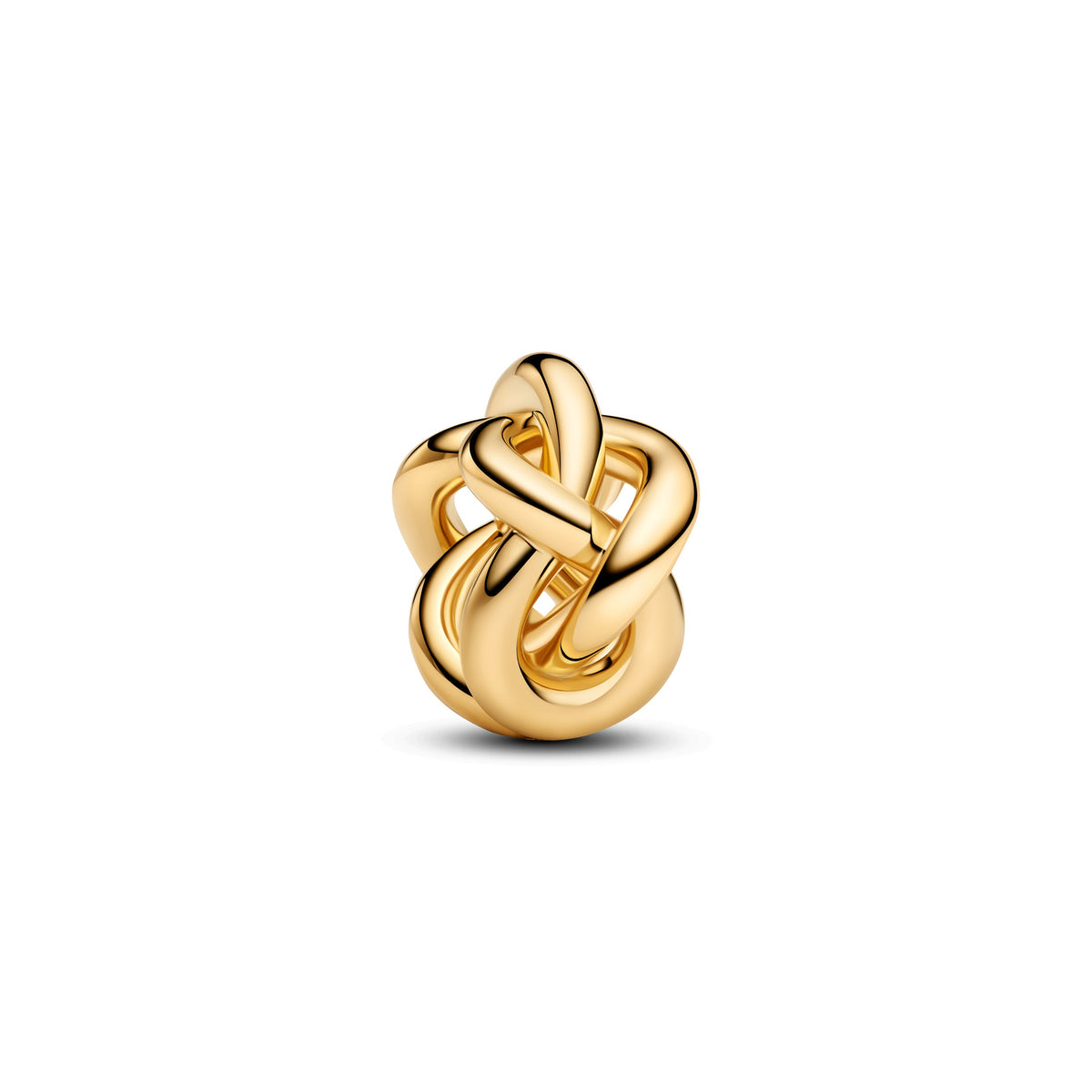 Pandora – Charms