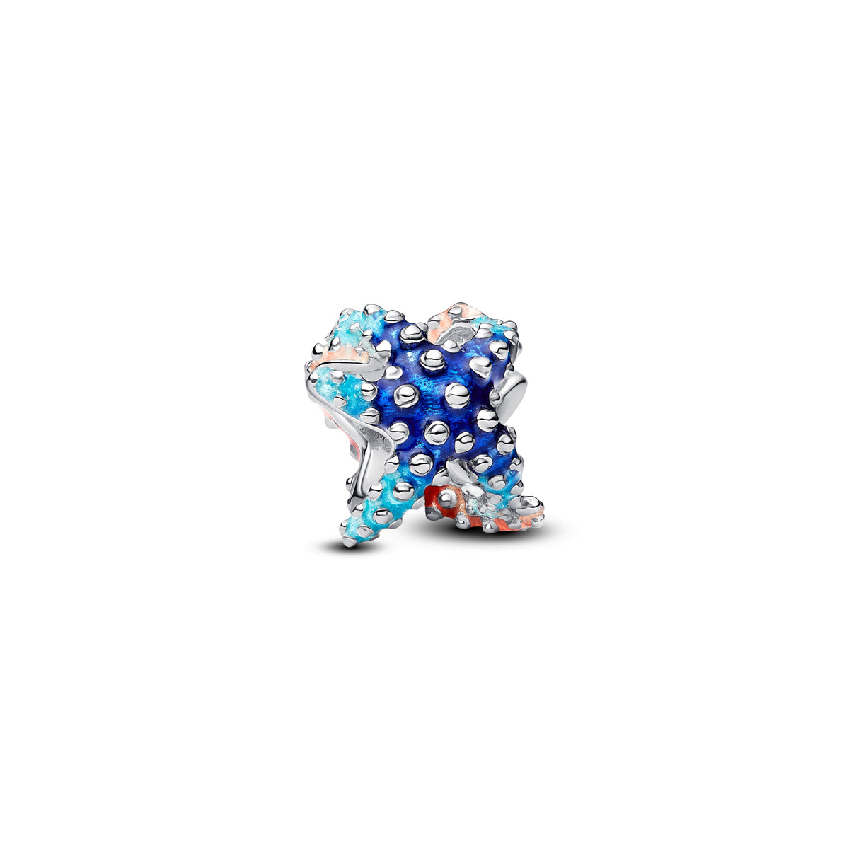 Pandora – Charms