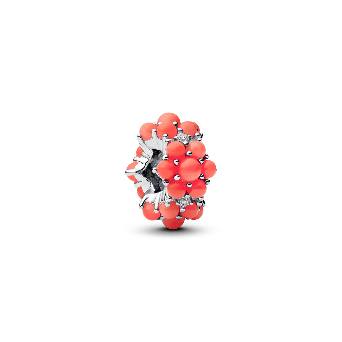 Pandora – Charms