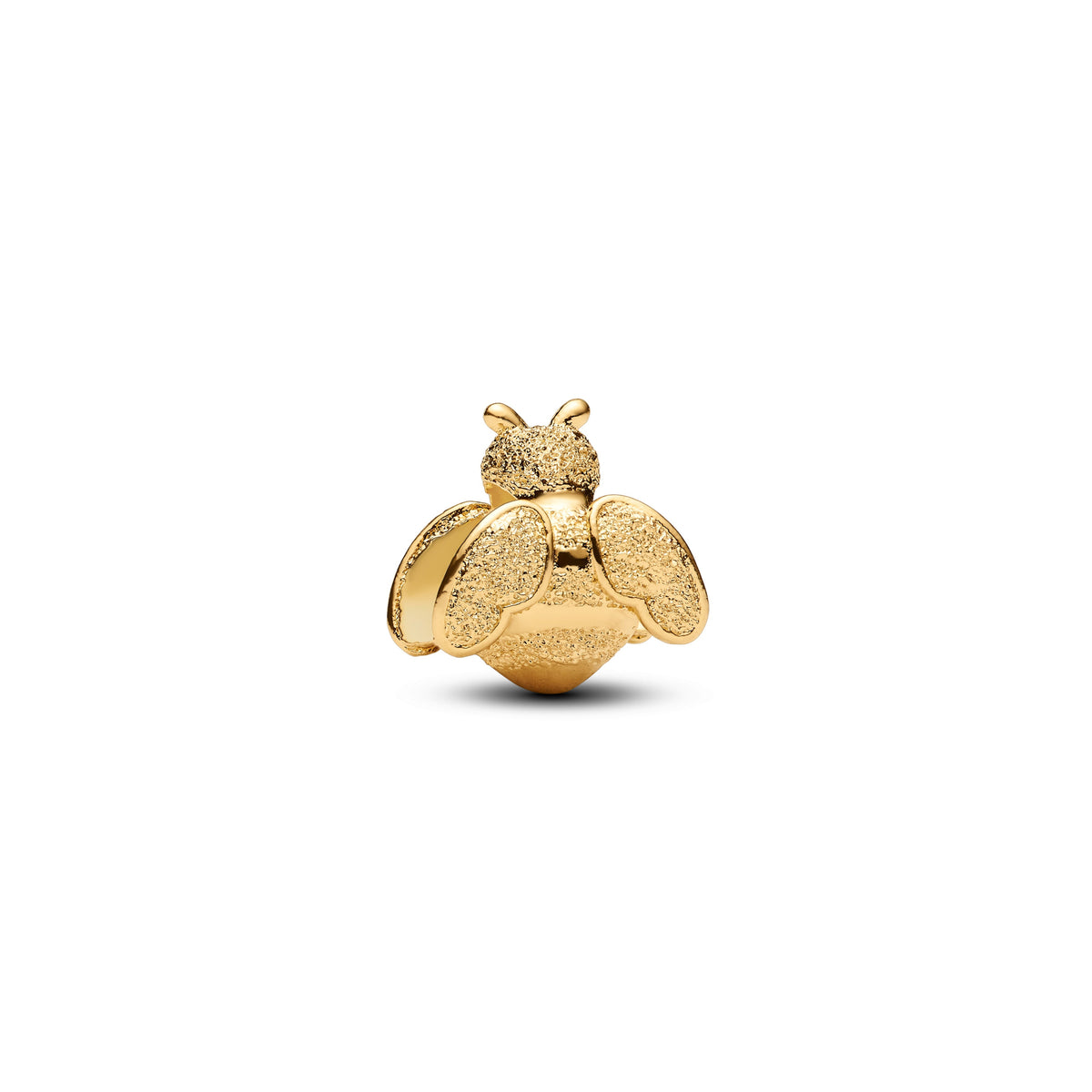 Pandora – Charms