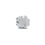 Pandora – Charms