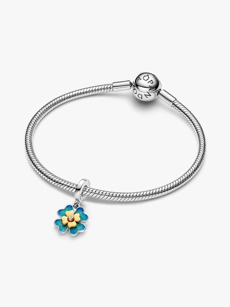 Pandora – Charms – vue 4