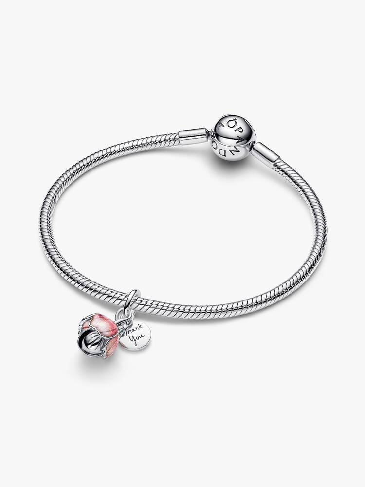 Pandora – Charms – vue 3