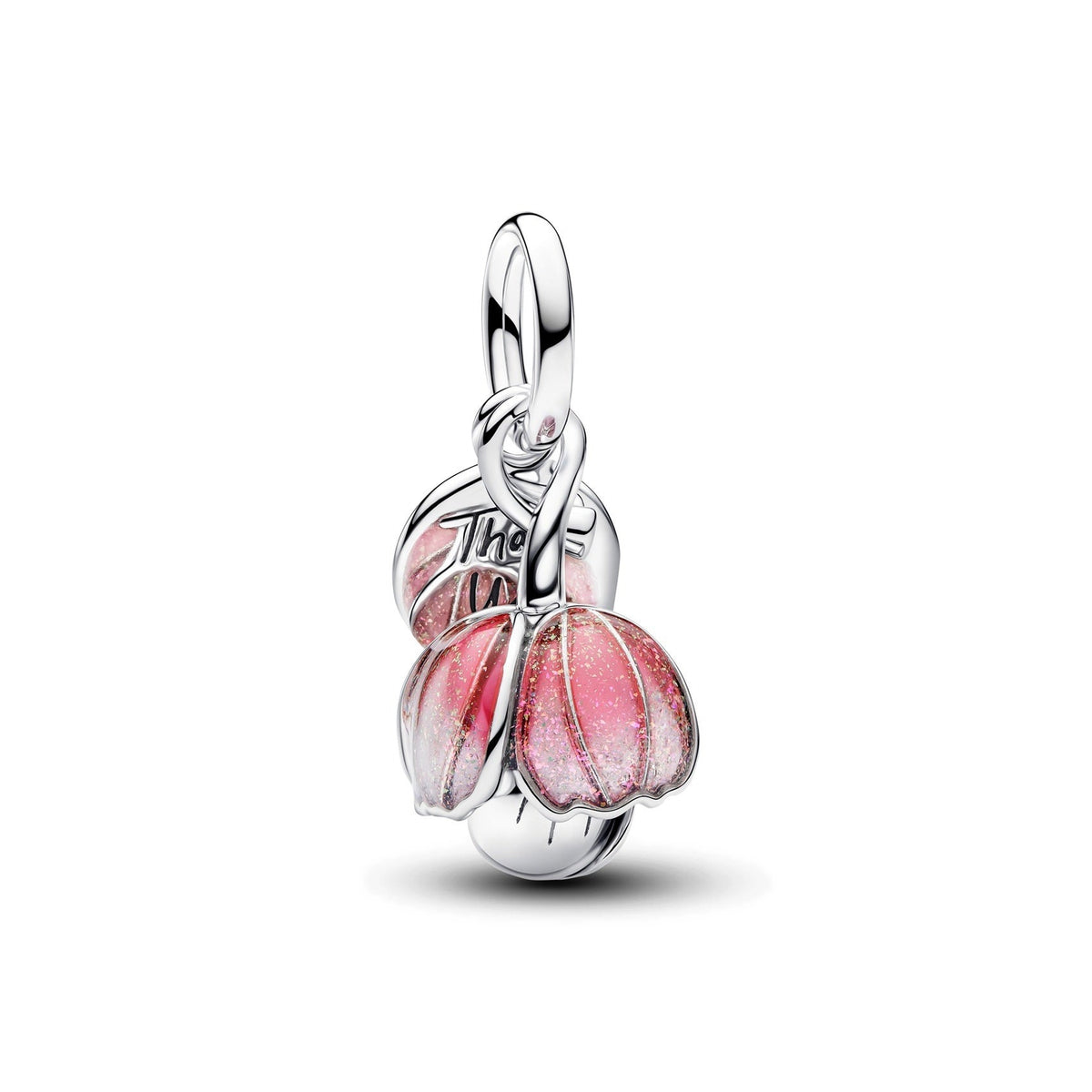 Pandora – Charms