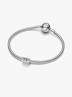 Pandora – Charms – vue 3