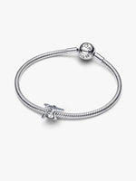 Pandora – Charms – vue 4