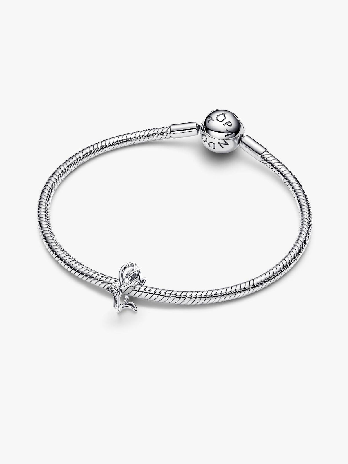 Pandora – Charms – vue 3
