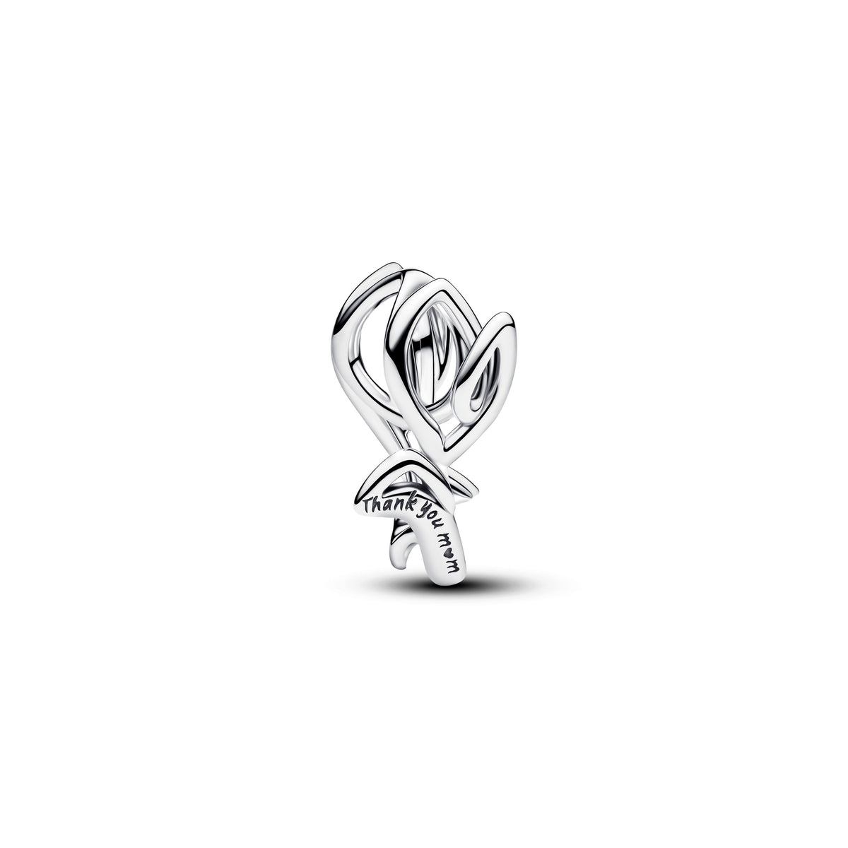 Pandora – Charms