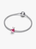 Pandora – Charms – vue 3
