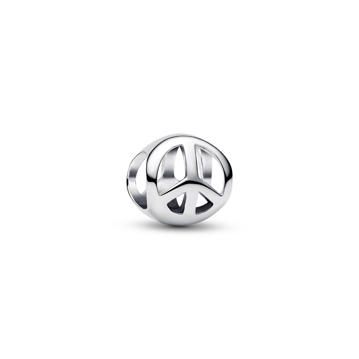 Pandora – Charms