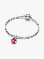 Pandora – Charms – vue 4