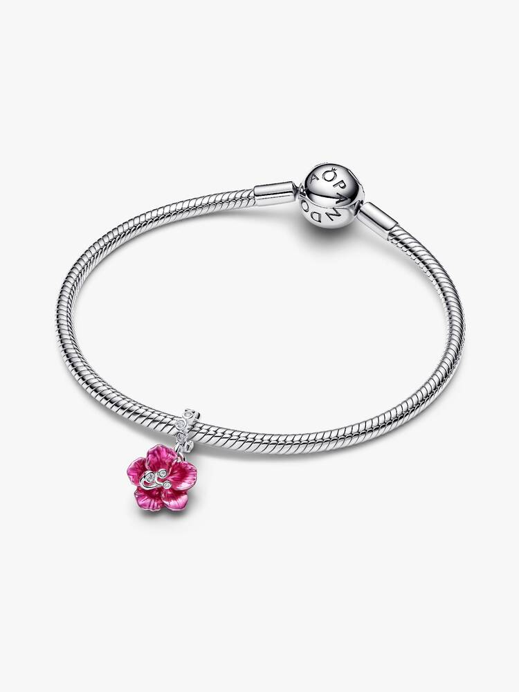 Pandora – Charms – vue 4