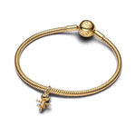 Pandora – Charms – vue 3
