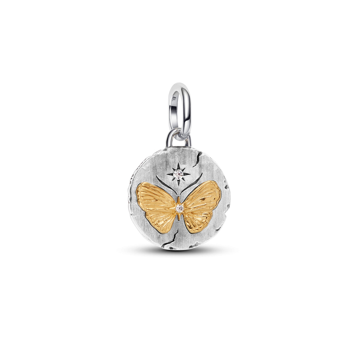 Pandora – Charms
