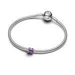 Pandora – Charms – vue 3