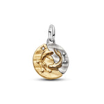 Pandora – Charms