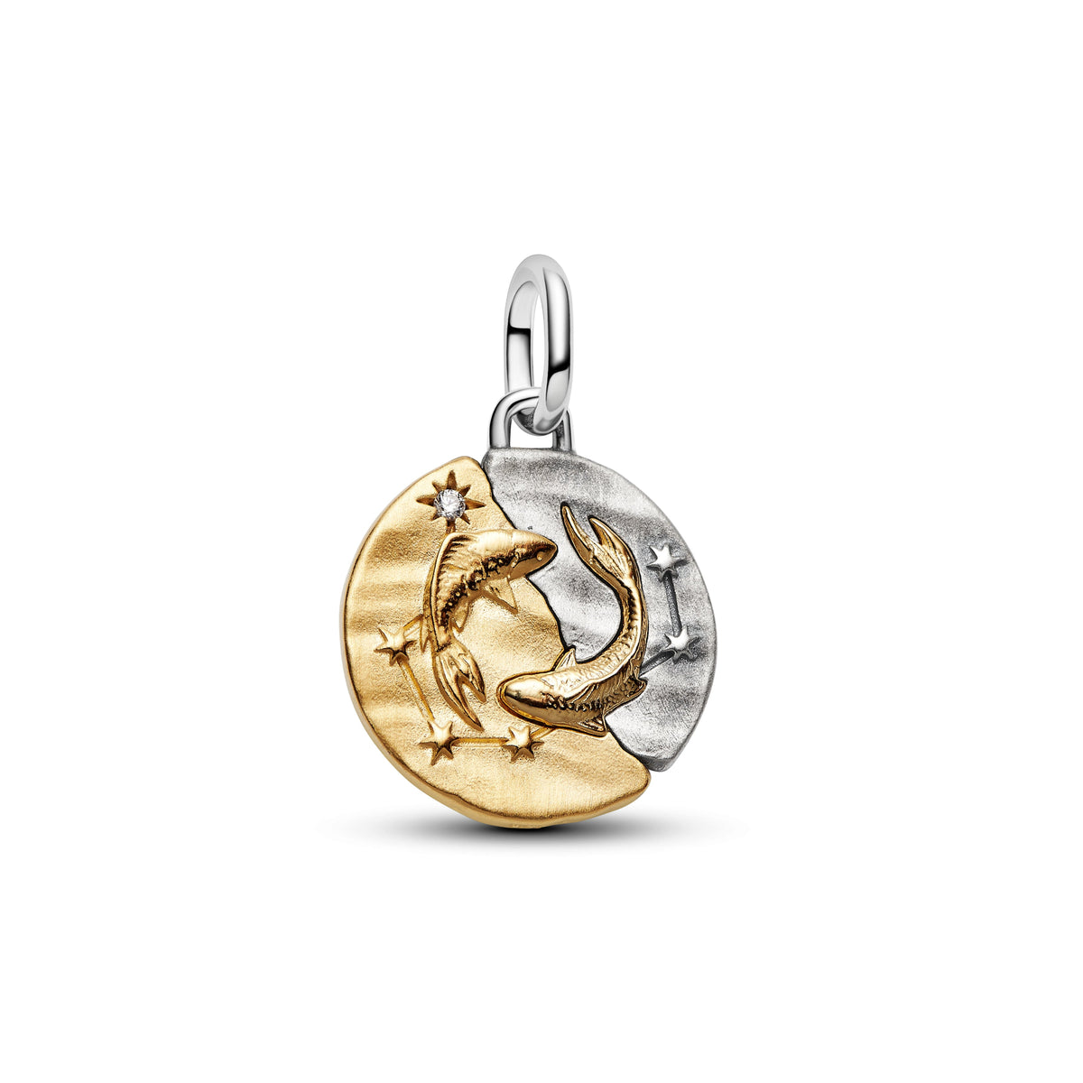 Pandora – Charms