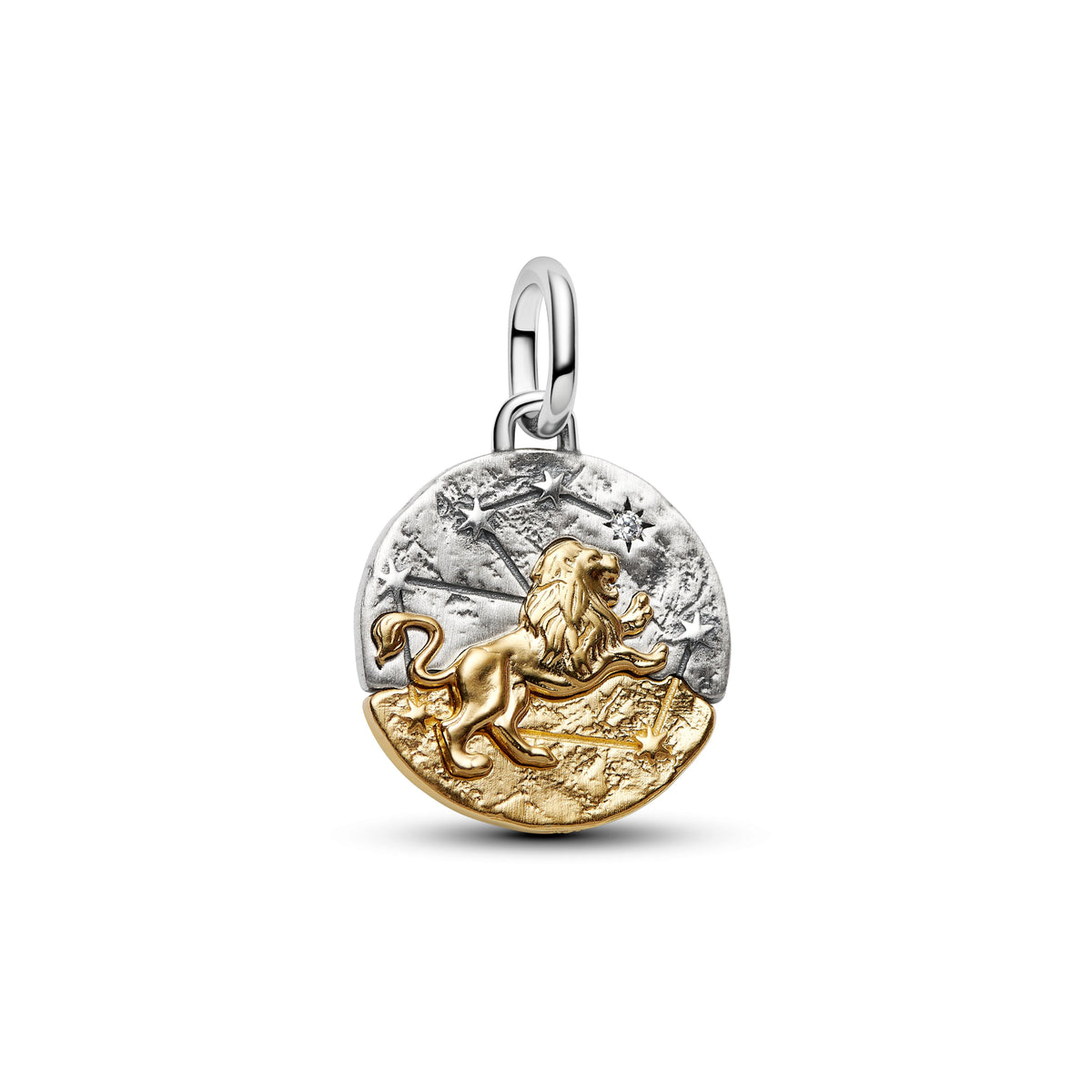 Pandora – Charms