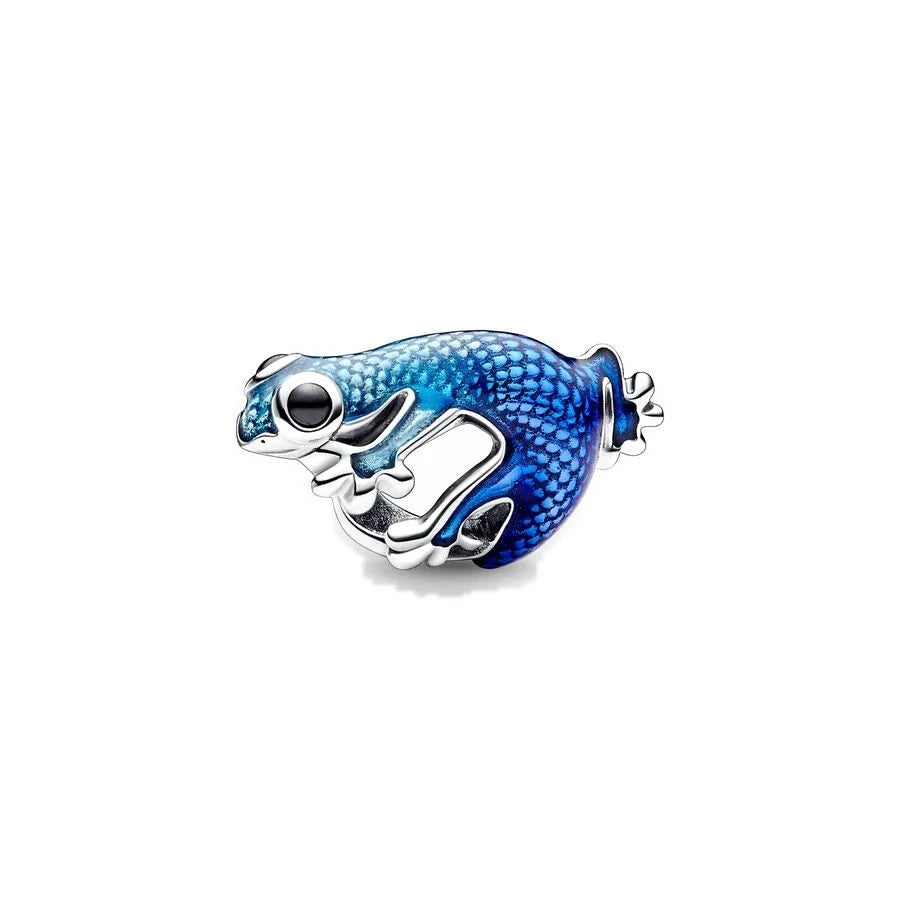 Pandora – Charms