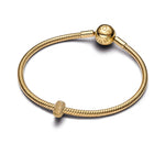 Pandora – Charms – Clip – vue 3