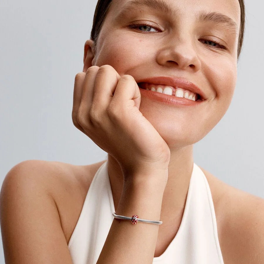 Pandora – Charms – Clips – vue 2