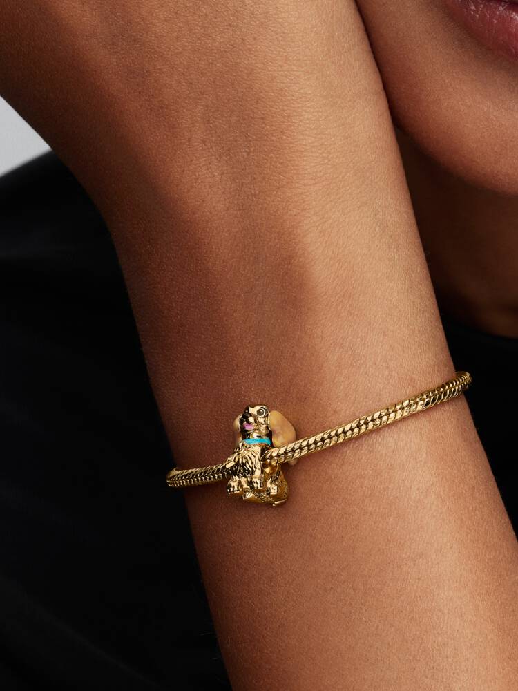 Pandora – Charms – Disney – vue 3