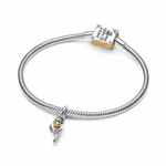 Pandora – Charms – Disney – Édition Limitée – vue 2