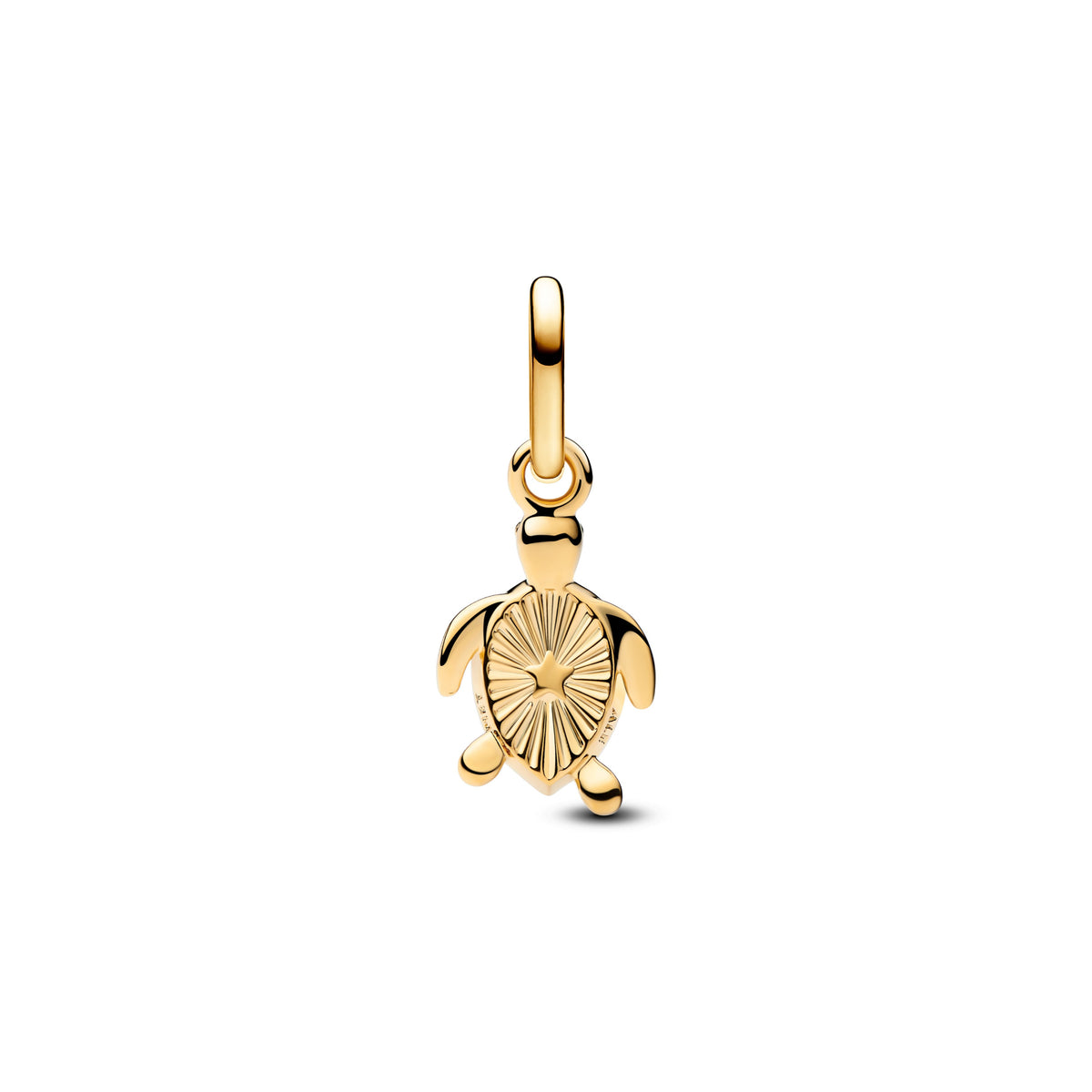 Pandora – Charms – Pandora Me – vue 2