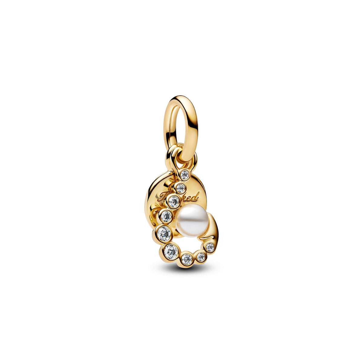 Pandora – Charms – Pandora Me