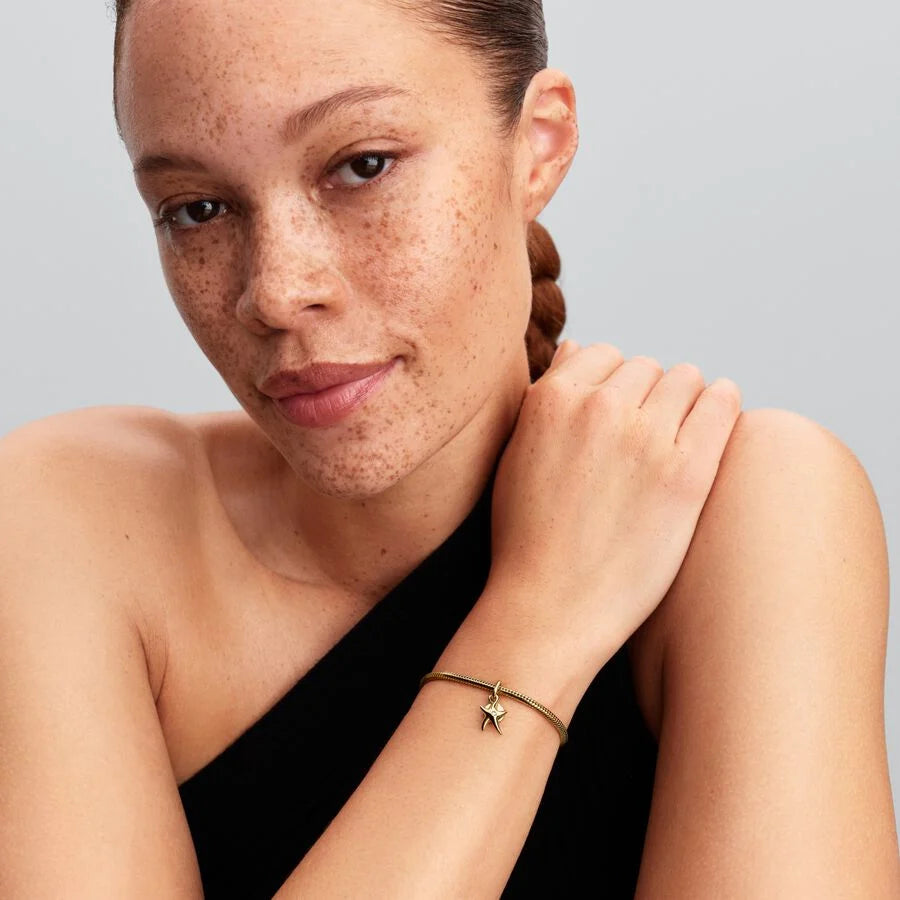 Pandora – Charms – Pandora Me – vue 3