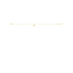 Robbez – Chaine de Cheville – Or jaune