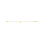 Robbez – Chaine de Cheville – Or jaune