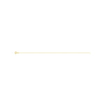 Robbez – Chaine – Or Jaune