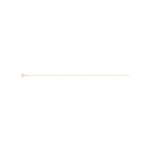Robbez – Chaine – Or Rose