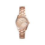 Fossil – Scarlette