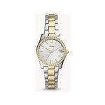 Fossil – Scarlette