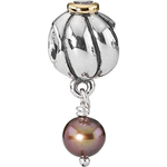 Pandora - Charm - Bijouterie JC Lambert