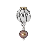 Pandora - Charm - Bijouterie JC Lambert