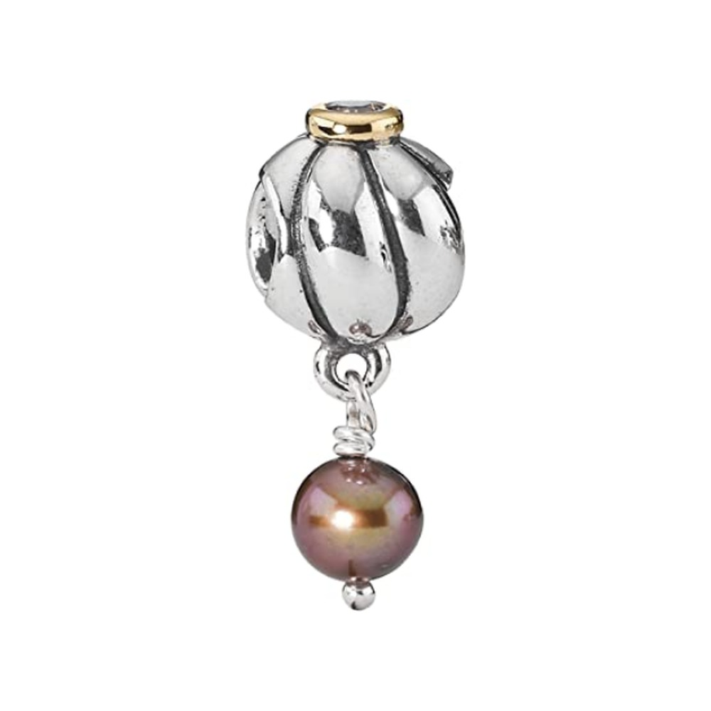 Pandora - Charm - Bijouterie JC Lambert