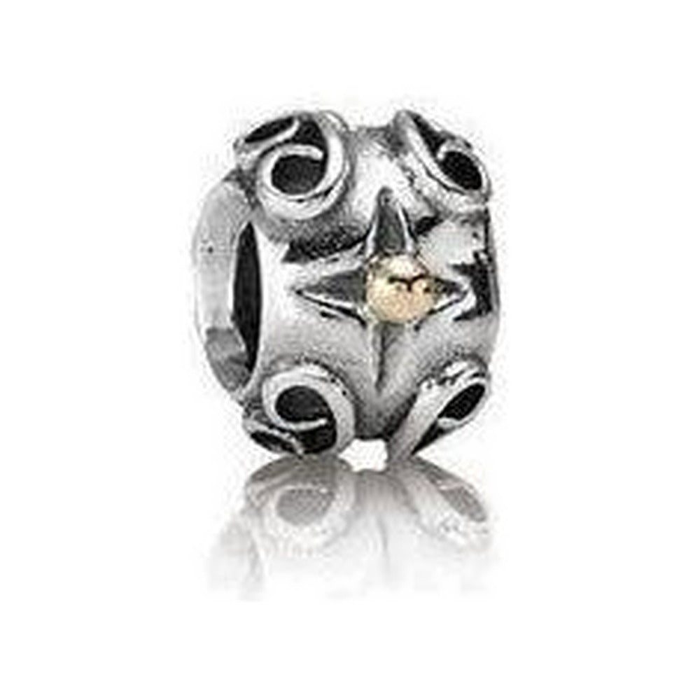 Pandora - Charm - Bijouterie JC Lambert