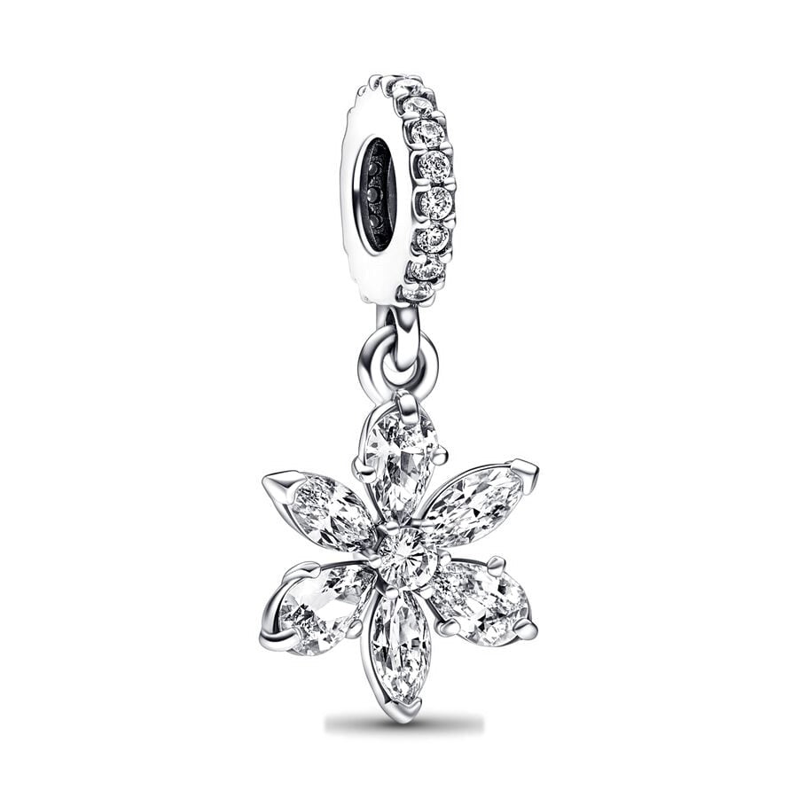 Pandora – Charms