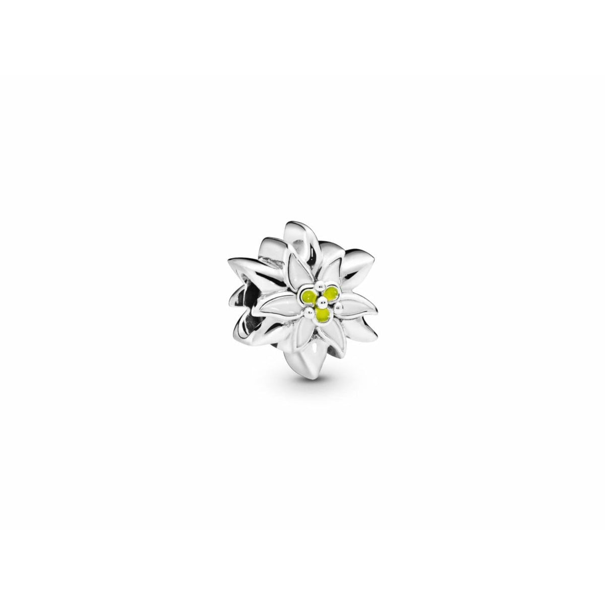 Pandora – Charms