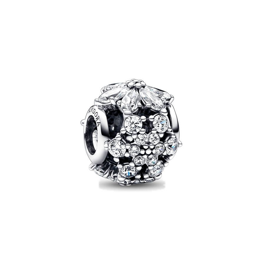 Pandora – Charms